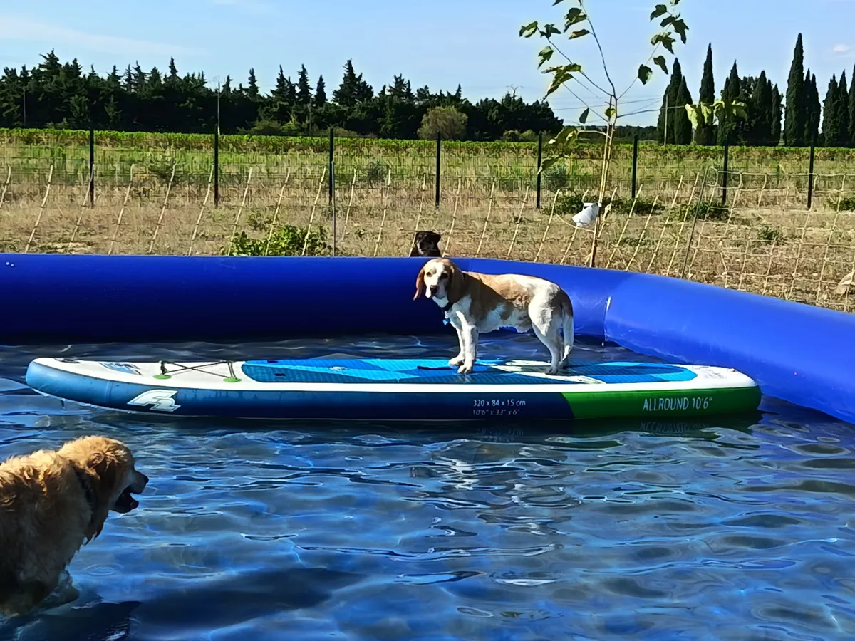 Piscine à paddle